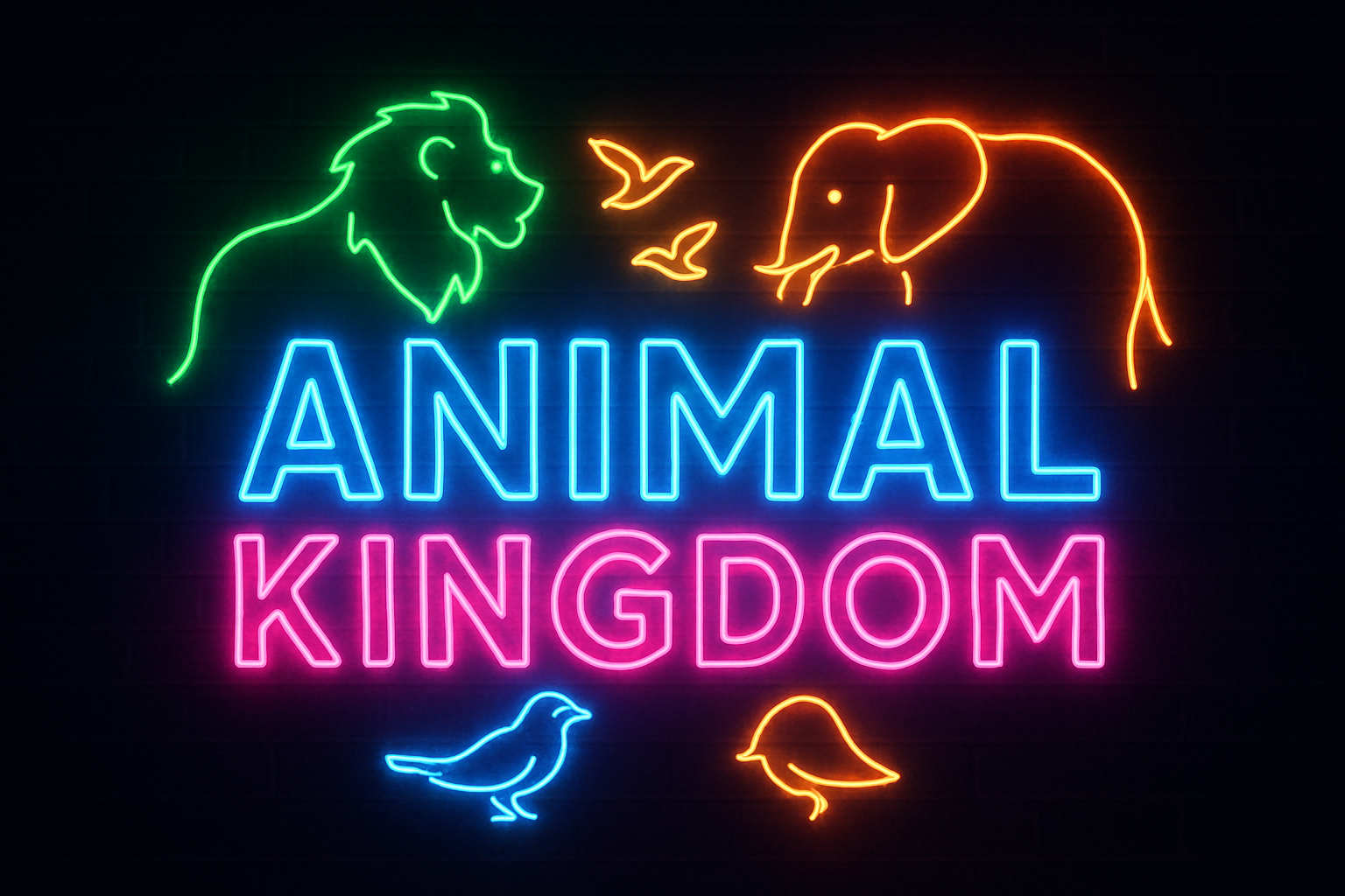 The Animal Kingdom